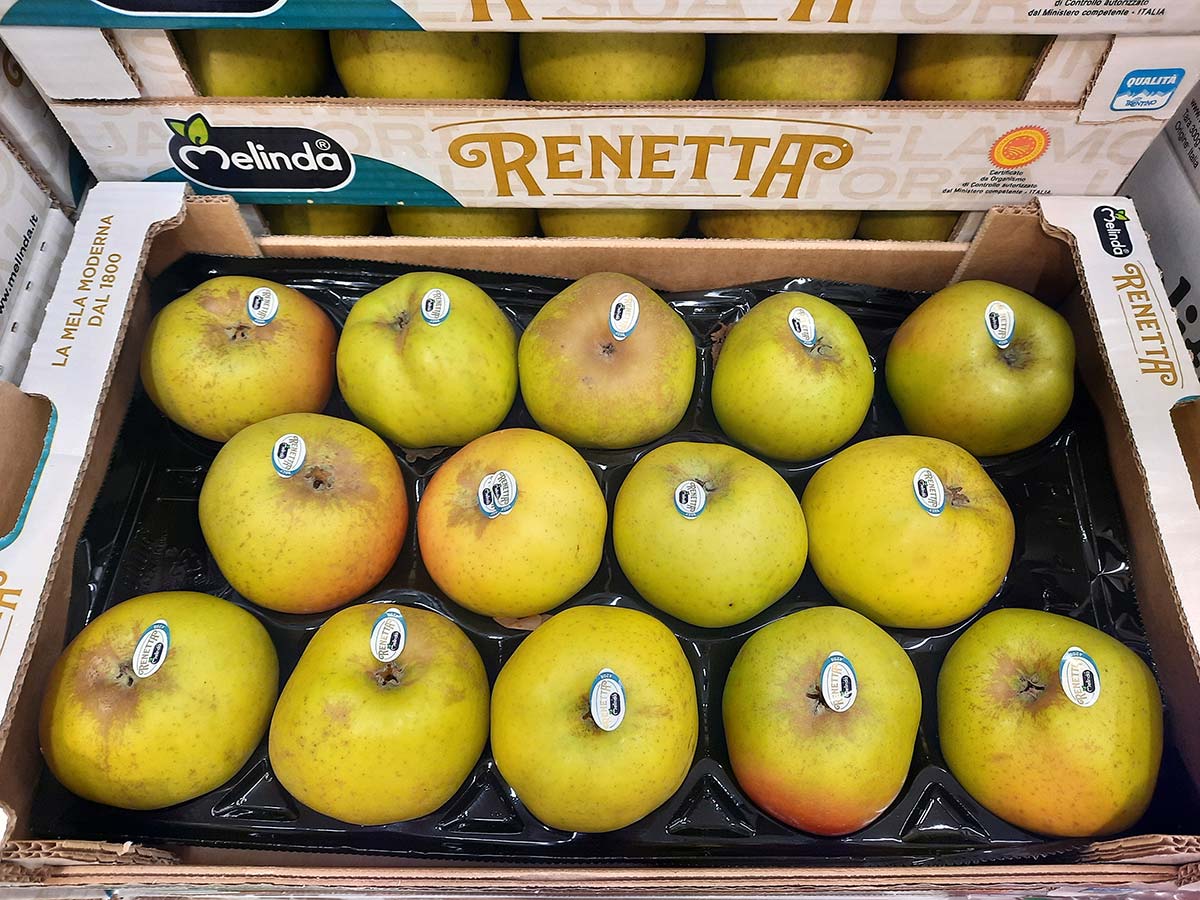 Mele Renetta del Canada, origine Italia Cal. 90-95 - 2 euro/chilo